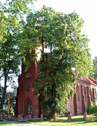 Radecin -- Dorfkirche um 2006