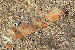 Dobiegniew -- Mauerreste im Park