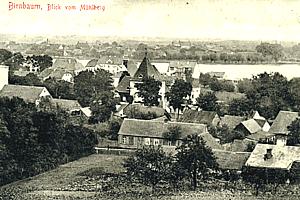Birnbaum -- Blick vom M&uuml;hlberg