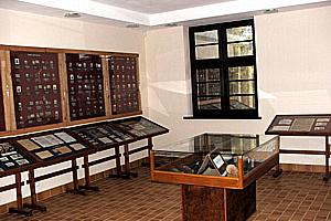 OfLag-IIC -- Ein Ausstellungsraum