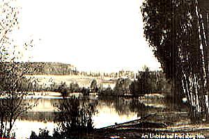 Dolgen bei Woldenberg -- Am Liebsee um 1925
