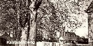 Woldenberg -- Kastanienweg am Krankenhaus