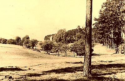 Woldenberg -- Der Weg nach L&auml;mmersdorf