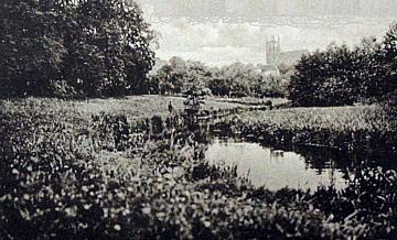 Woldenberg -- Die bl&uuml;henden Flie&szlig;wiesen